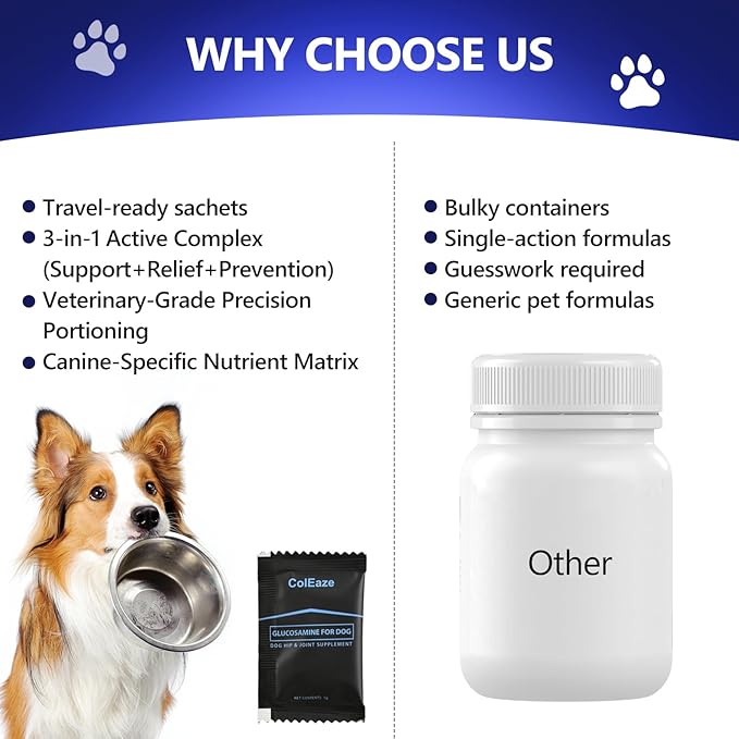 Glucosamine for Dogs - Dog Joint Supplement Powder, MSM & Turmeric - Joint Pain Relief, Mobility Support for All Ages & Breeds - 60 Ct. Box