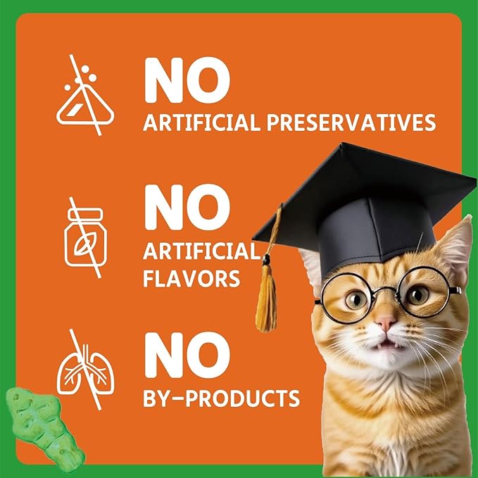 1.1 lb/500g Cat Grass Treats for Indoor Cats - 17.6 oz Natural Salmon & Catnip Flavor, Healthy Snacks for All Life Stages, Crunchy Training Biscuits with Dental Care & Hairball Control