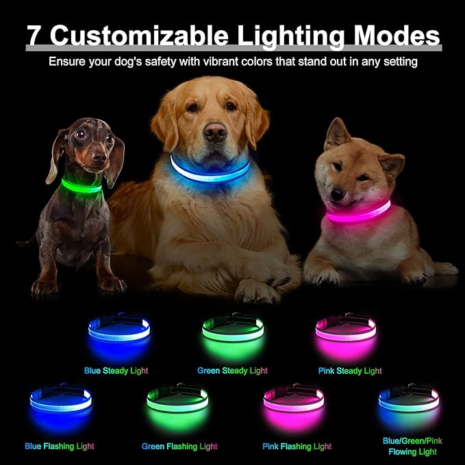 Light Up Dog Collar, Multicolor LED Dog Collar with 7 Modes, USB-C Rechargeable Reflective Glow Collar, Waterproof & Adjustable Design with Battery Indicator for Safe Night Walks(Medium)