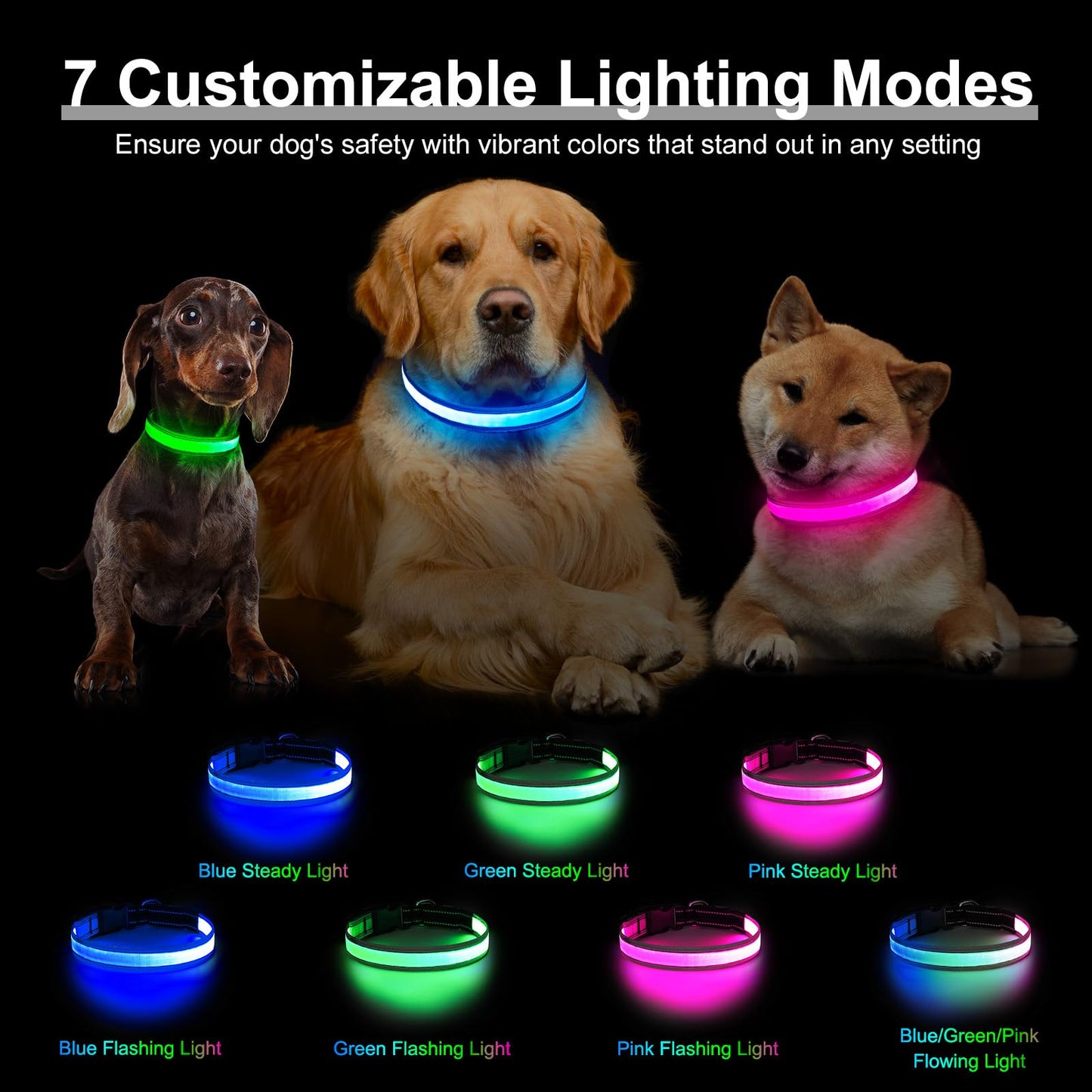 Light Up Dog Collar, Multicolor LED Dog Collar with 7 Modes, USB-C Rechargeable Reflective Glow Collar, Waterproof & Adjustable Design with Battery Indicator for Safe Night Walks(Medium)