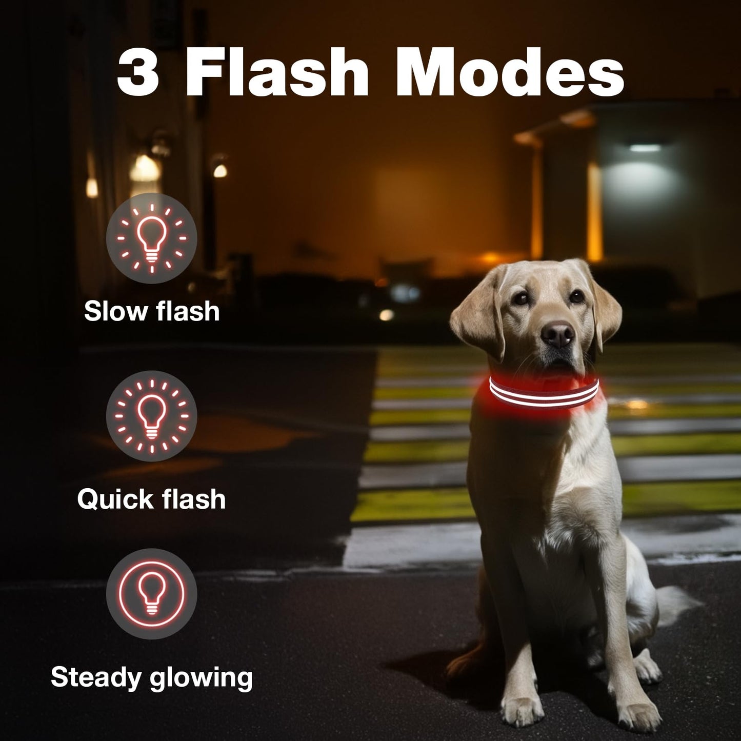 LED Dog Collar, Light Up Dog Collar, Lighted Dog Collars Adjustable for Night Walking, Glow in The Dark Dog Collars Light with USB Rechargeable Color Changing Waterproof for Dogs (Black, Small)