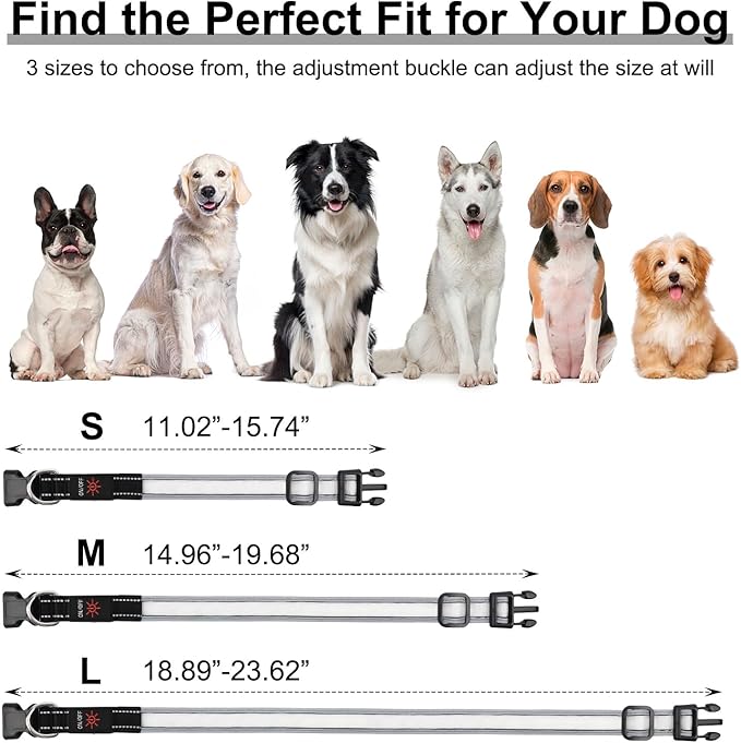 Light Up Dog Collar, Multicolor LED Dog Collar with 7 Modes, USB-C Rechargeable Reflective Glow Collar, Waterproof & Adjustable Design with Battery Indicator for Safe Night Walks (Small)