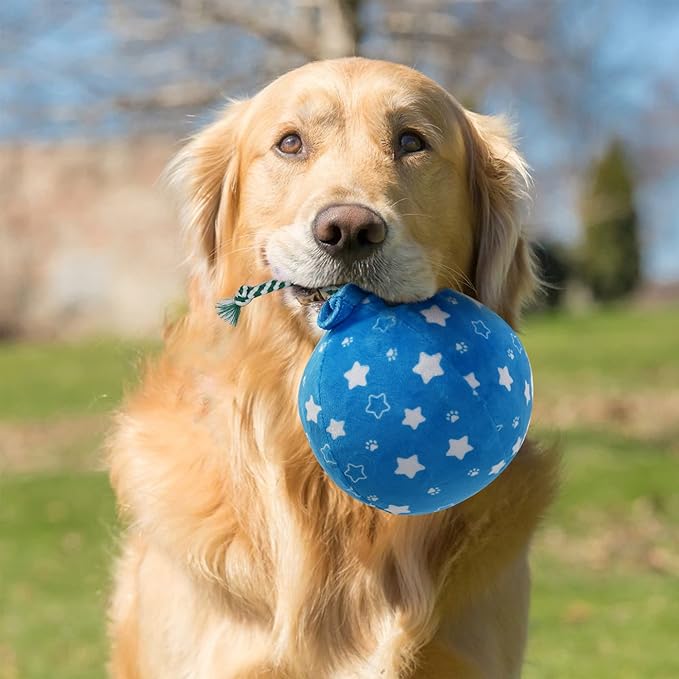 Prime Pets Dog Birthday Toys, 3 Pack, Crinkle Squeaky Dog Toys Set, Pet Toys for Small Medium Large Dogs, Stuffed Puppy Chew Toys, Dog Gift Toys