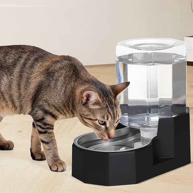 Sfozstra Gravity Water Bowl Dispenser : Automatic 5L Black Cat Stainless Steel Feeder Without Filters for Pets Indoor/Outdoor by Owners