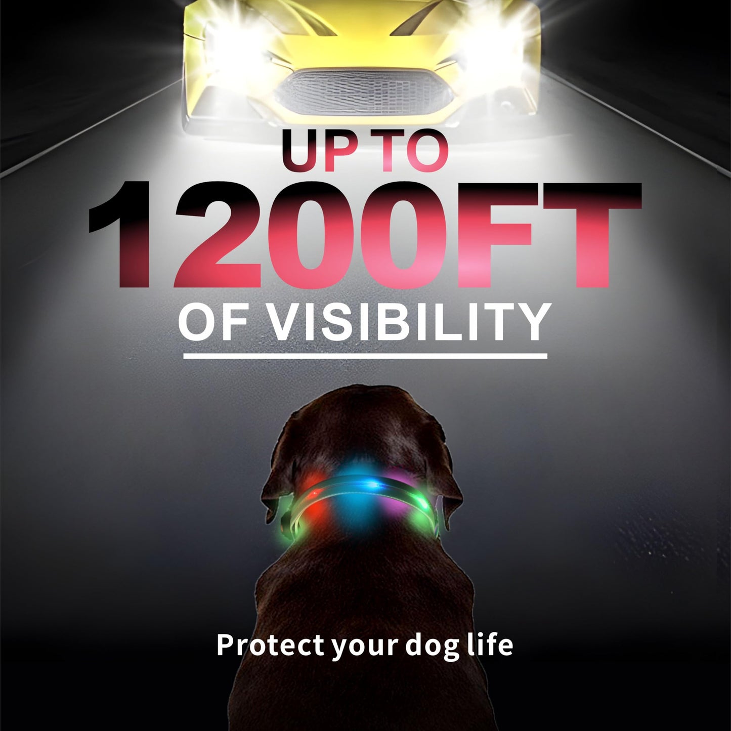 Myyaa Light up Dog Collars, LED Dog Collar Light, USB Rechargeable Bright Flashing Dog Collar with Waterproof, Lighted Safety Collar for Walking at Night for Small Medium, Large Dogs (Purple Pink)