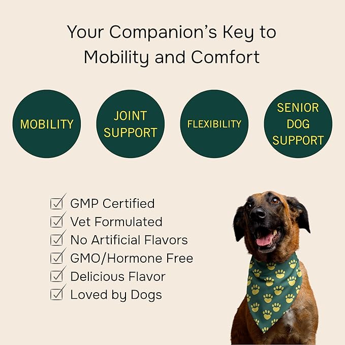 PetMeds Hip & Joint Supplement for Dogs - Vitamins, Glucosamine, MSM, Chondroitin, Collagen for Joint Mobility & Flexibility - Senior Dog Arthritis Support - Beef & Sweet Potato Flavor - 60 Soft Chews