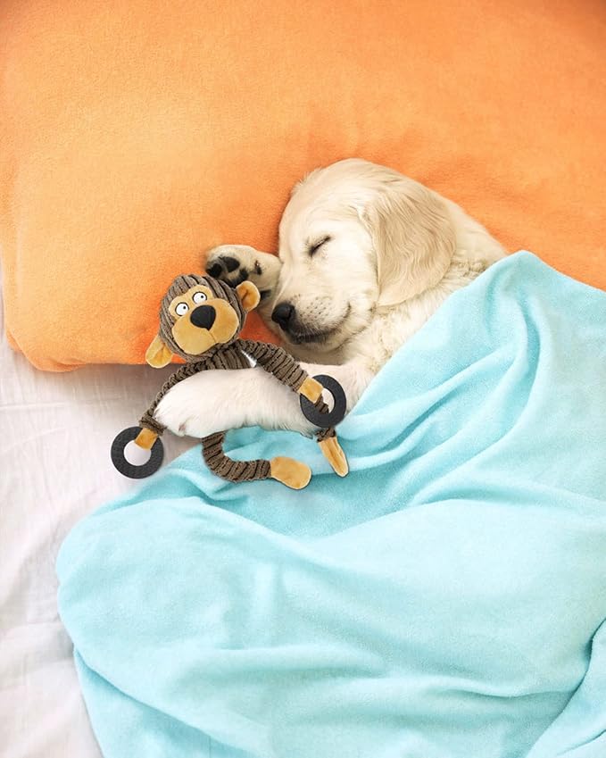 HGB Squeaky Dog Toys, Plush Dog Chew Toys for Puppy Teething, Pet Training and Entertaining, Cute Interactive Dog Toys for Small and Medium Dogs