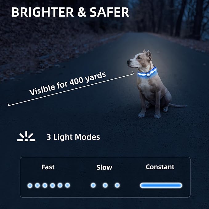 Super Bright LED Dog Collar - Fully Waterproof & Adjustable Glow Collar - USB-C Rechargeable for Night Walking, Safety - Flashing Lighted Collar for Dogs(Blue,Large)