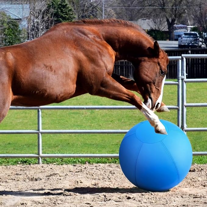 Herding Ball for Dogs and Horses - 25" Jolly Ball for Dogs, Agility Training Equipment, Herding for Australian/German Shepherd, Improved Bite-Resistant, Reinforced Sewing Dog Toys - Blue Large