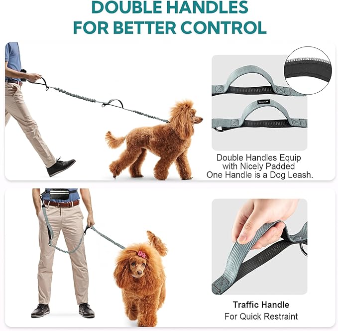 Hands Free Dog Leash with Pouch, Double Leash for Two Dogs, Retractable Bungee with Double Padded Handles, Dog Waist for Dog Walking, Running for Dogs, Dog Walking Accessories