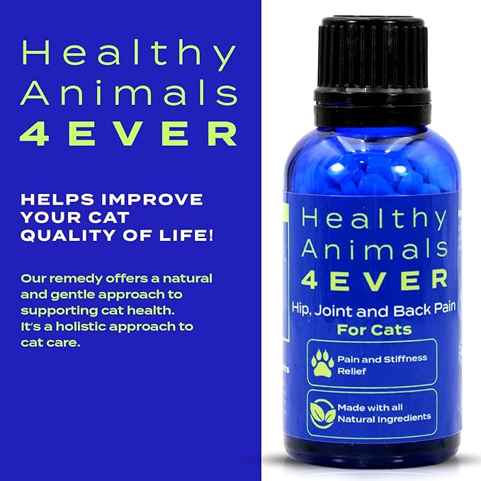 HA4E - Cat Arthritis Remedy - Supports Hip & Joint Health - Helps Minimize Pain & Restore Mobility - All-Natural, Non-GMO, Organic, Preservative & Chemical-Free - 300 Tablets