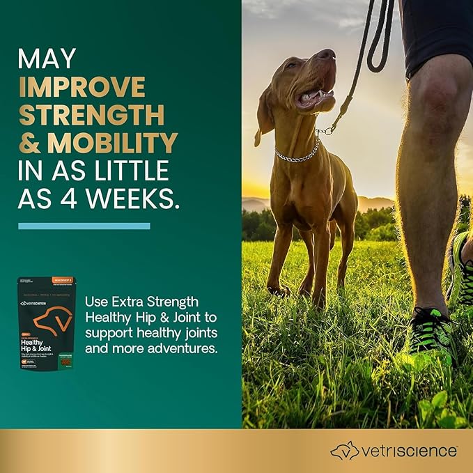 VetriScience Glycoflex 3 Hip and Joint Supplement for Dogs - Maximum Strength Dog Supplement with Glucosamine, MSM, Green Lipped Mussel & DMG - 3 Pack (120 Chews Each)
