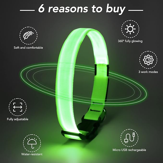 LED Dog Collar - Adjustable, Rechargeable, Waterproof, Glow in Dark for Medium Large Dogs
