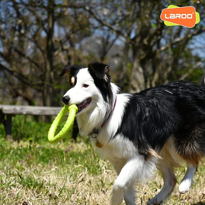 LaRoo Dog Flying Ring Toys, Floating Flying Disc ABS Durable Interactive Chew Toys for Training Outdoor Playing Puppy Medium Large Dogs (Small Green/18cm)
