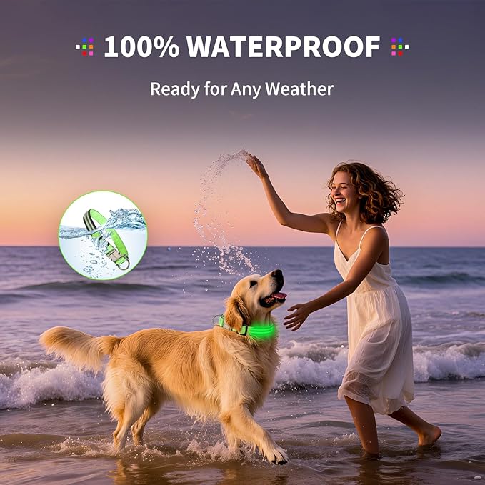 LED Dog Collar with Metal Buckle - USB Rechargeable Glow Collar for Dogs, Waterproof Light Up Dog Collar w/Reflective Strips - Adjustable Night Safety Collars by PetIsay(Green,Large)