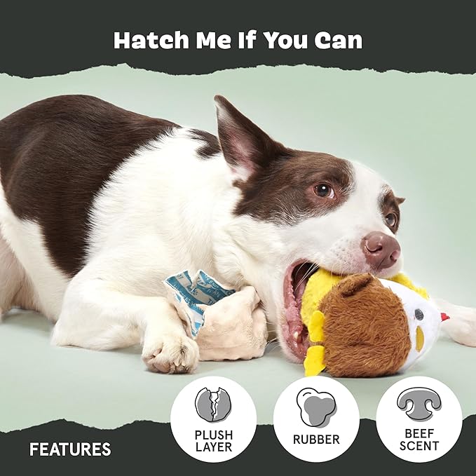 Barkbox Hatch Me If You Can Dog Toy for Medium to Large Aggressive Chewers Two-Layer Tearable Toy with Hidden Surprise Inside for Interactive Playtime