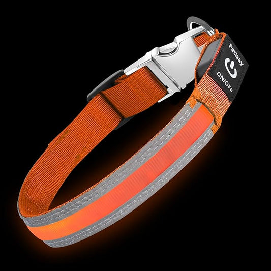 PetIsay LED Dog Collar Metal Buckle - Heavy Duty Light up Collars - Rechargeable IP68 Waterproof - Lighted Dog Collar for Night Walking, Hiking, Camping (Large, Orange)