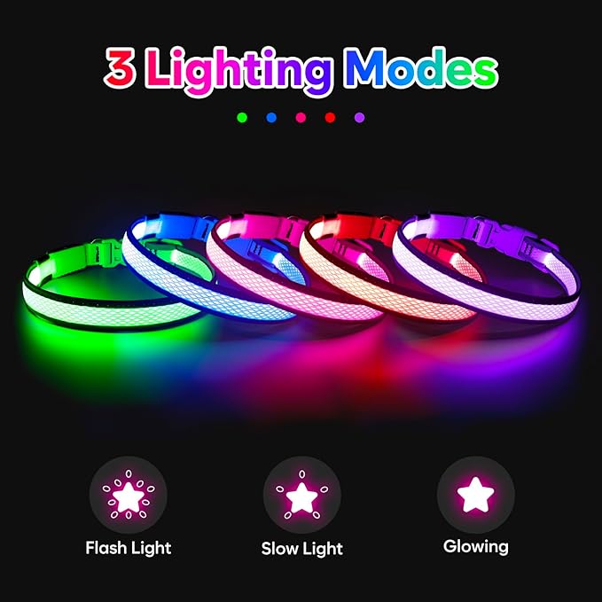 LED Dog Collar, Light Up Dog Collar USB Rechargeable, Brightest Dog Lights for Night Walking, Adjustable Dog Collar Light for Dog Safety(Small, Neon Green)