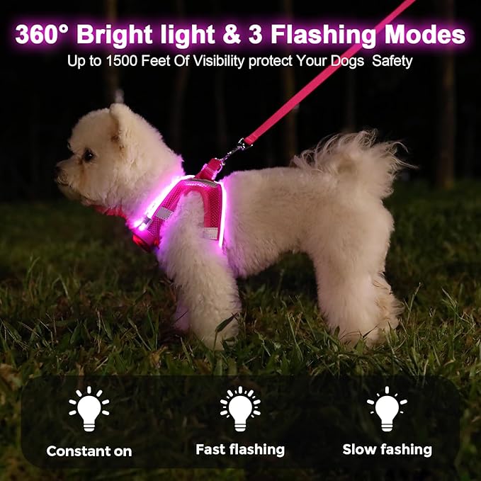 Light Up Dog Harness,Rechargeable LED Dog Harness for Small Medium Large Dogs,Reflective Lighted Safety Vest for Night Walking & Camping,Lightweight & Adjustable,Pink,S