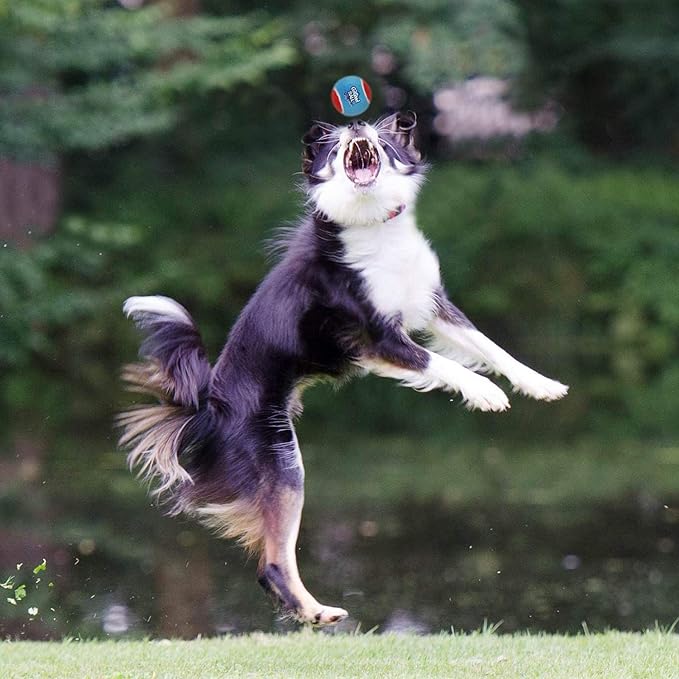 GiGwi Squeaky Tennis Balls for Dogs - High Bouncy, Bright Colors, 2.5 Inches, Interactive Fun Toys for All Breeds, Indoor & Outdoor Play, 5 Pack