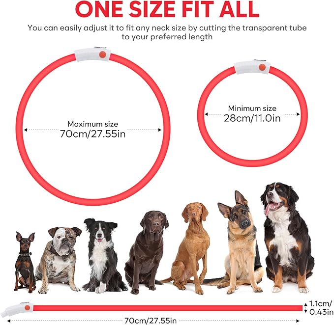 HIGO Light Up Dog Collar, Lightweight Silicone LED Dog Collar, USB Rechargeable Dog Collar Light for Dogs Cats Walking at Night (Red-Silicone)