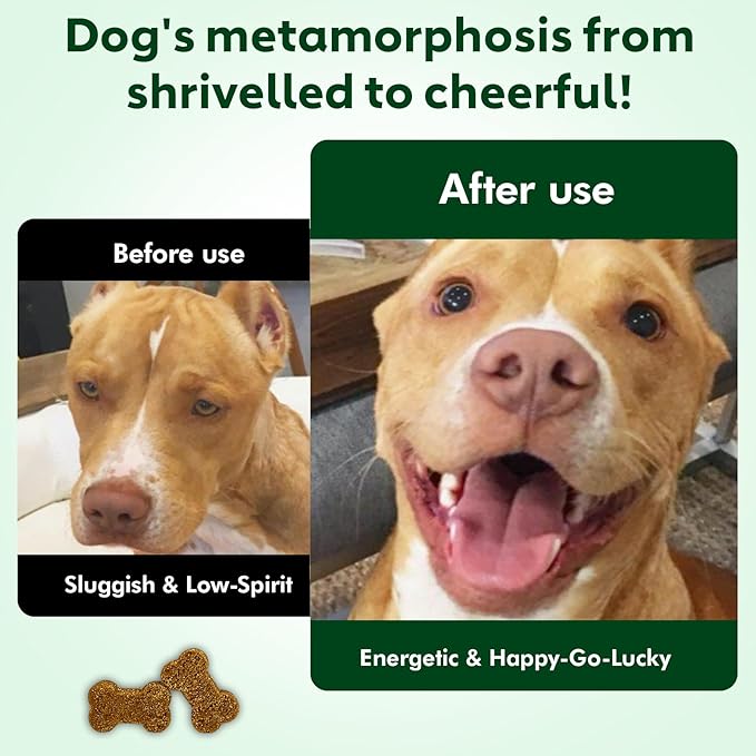 NAD Supplement for Senior Dogs - 3-in-1 Joint Supplement for Dogs, Skin & Coat Care Chews with Glucosamine, NMN, Omega-3 - Bacon Flavor, 90 Count for Arthritis & Allergy Relief (90Ct, Bacon)