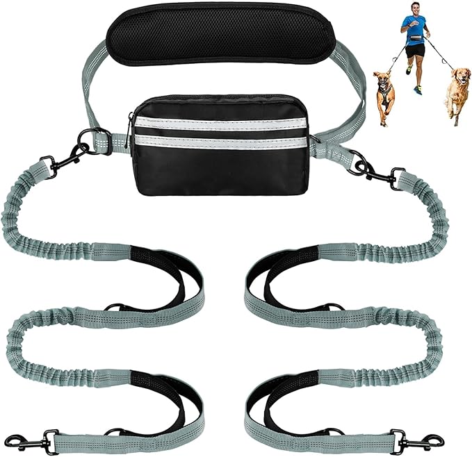 Hands Free Dog Leash with Pouch, Double Leash for Two Dogs, Retractable Bungee with Double Padded Handles, Dog Waist for Dog Walking, Running for Dogs, Dog Walking Accessories