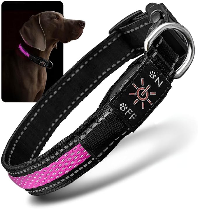 LED Dog Collar - Bright Premium Weatherproof Light Up Collar for Pet Safety, USB C Rechargeable & Adjustable for Small, Medium & Large Dogs (Pink, Small)