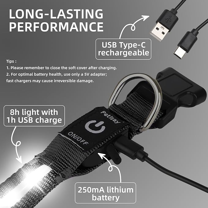 Super Bright LED Dog Collar - Fully Waterproof & Adjustable Glow Collar - USB-C Rechargeable for Night Walking, Safety - Flashing Lighted Collar for Dogs(White,L)