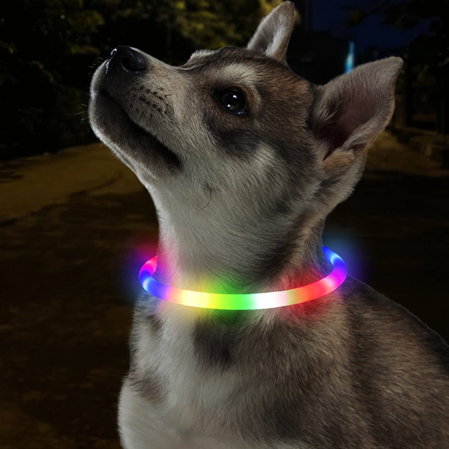 Light Up Dog Collar, Rechargeable Glowing Dog Collar, Light Dog Collar for Night Walking with 1640 FT of Visibility - Brightest LED Dog Collar Light, 3 Flashing Modes, Keeps Your Pets Safe in The Dark