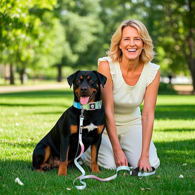 TSPRO Hands Free Dog Leash for Medium to Large Dogs, Adjustable Durable Leash with Comfortable Safety Padded Handle, Heavy Duty Metal Clasp for Walking, Running, Training (Blue - Pink Gradient)