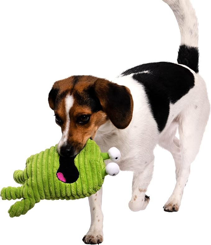goDog PlayClean Germs Squeaky Plush Dog Toy with Odor-Eliminating Essential Oils, Chew Guard Technology - Green, Large