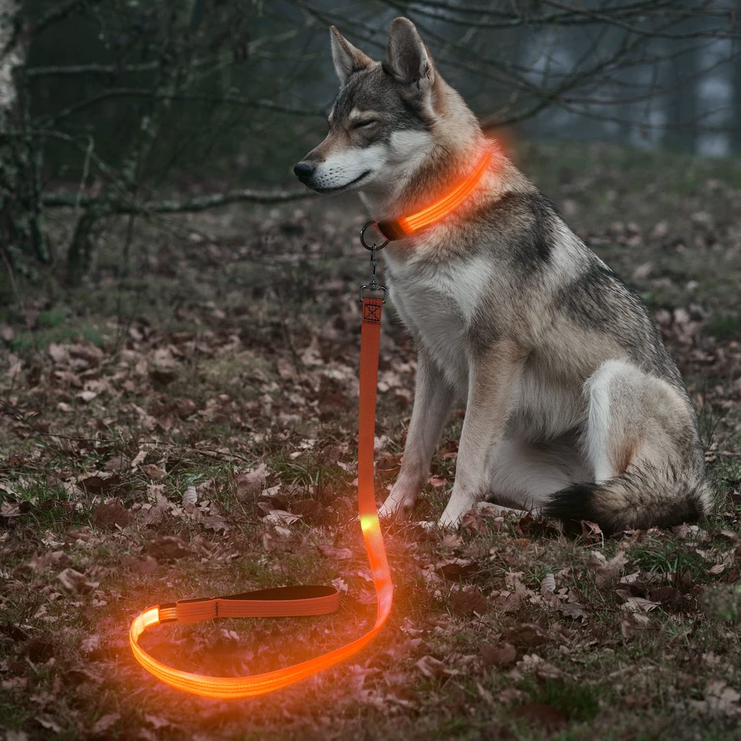 BSEEN LED Dog Leash, Reflective Light Up Dog Leash Rechargeable Glowing Pet Lead Safety Dog Lights for Night Walking (4 Ft, Reflective Orange)