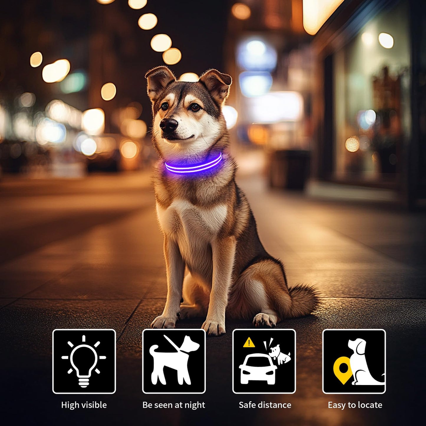 LED Dog Collar, USB Rechargeable Light Up Dog Collar, Adjustable Glowing Dog Collars, Comfortable Soft Collar for Small, Medium, Large Dogs Night Walking-Purple S