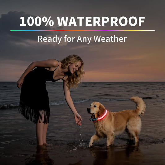 PetIsay LED Dog Collar - 7 Solid Colors & Memory - 300mAh Even Glow, No Half-Neck Light - USB-C Rechargeable, IPX7 Waterproof, Adjustable for Backyard, Hiking, Parties(Medium)