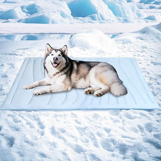 BECEMURU Dog Cooling Mat - 60" x 40" Thickening Cooling Pad Blanket for Crate, Kennel, Bed, Sofa - Machine Washable, Durable, Non-Gel - Keep Your Pet Cool and Comfortable