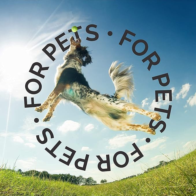 Bark2Basics Oatmeal Conditioner, Gallon - Natural Ingredients, Moisturizing, Hydrating, Crafted with Colloidal Oatmeal, Relieves Dry Itchy Irritated Skin, Coconut Fragrance