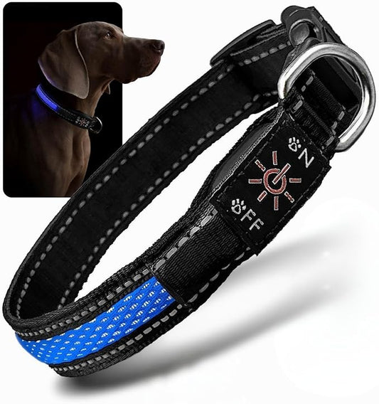 LED Dog Collar - Bright Premium Weatherproof Light Up Collar for Pet Safety, USB C Rechargeable & Adjustable for Small, Medium & Large Dogs (Blue, Small)