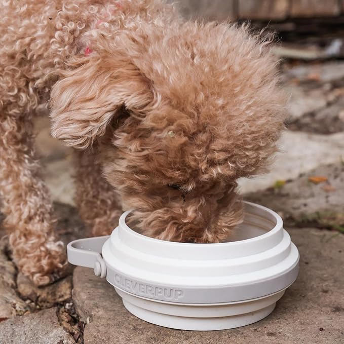 Nomad Small Collapsible Dog Bowl - 2 Cup Food-Safe Silicone Travel Bowl for Dogs, Portable & Sturdy, Food/Water, Dishwasher Safe - Sand