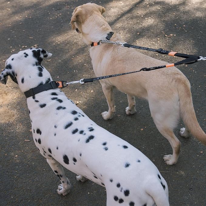 HOWGO Double Dog Leash, No Tangle 360° Swivel, Adjustable Two Padded Handles, Double Clip Dog Leash Coupler Splitter for Small and Medium Breeds (Mint Green, 2/3'' x 0.9 FT)