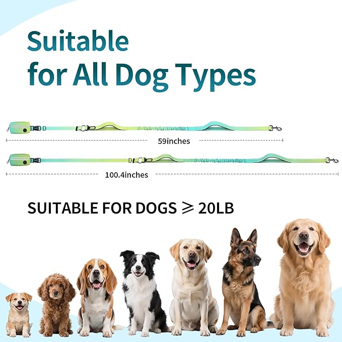 Hands Free Dog Leash with Removable Zipper Pouch, Dual Padded Handles and Durable Bungee for Walking, Jogging and Running-Cyan