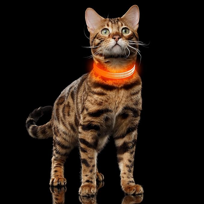 Illumifun Light Up Dog Collar for Small Dogs Cats, Rechargeable LED Dog Collar Glow at Night, Adjustable Nylon LED Cat Collar Light (Orange, X-Small)
