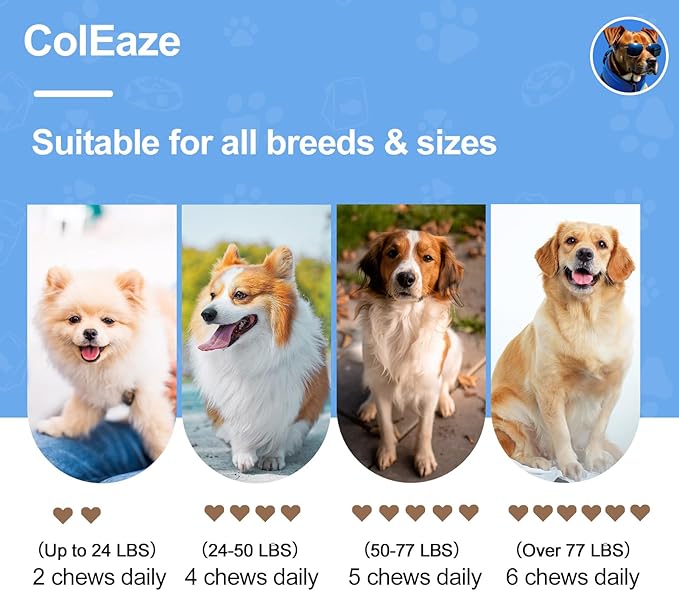 Glucosamine for Dogs Soft Chews 200 Count - Hip & Joint Support Supplement, MSM & Turmeric for Joint Pain Relief & Mobility Care - All Life Stages Puppy to Senior Dogs - Lamb Flavor