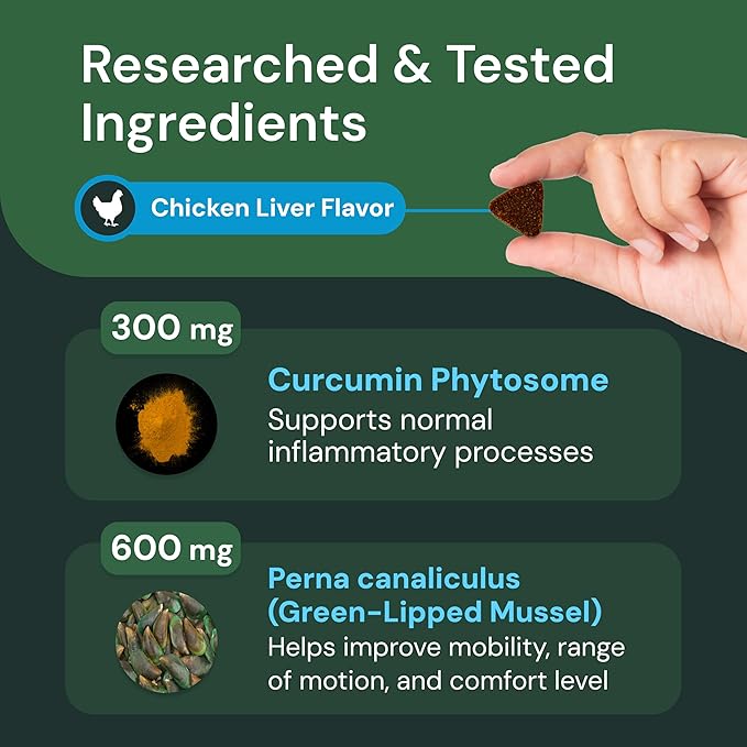 VetriScience Veterinary Strength Healthy Hip & Joint Chews - Joint Health Supplement for Dogs Over 60 Pounds - Supports Mobility & Flexibility in Large Dogs - 60 Count