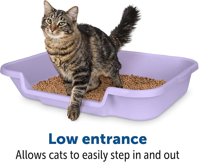KittyGoHere Senior Cat Litter Box 2 Pack, Large Storybook Lavender Low Entrance Kitty Litter Box, Sized for Cats Comfort, Perfect for Senior and Arthritic Cats, Made in USA