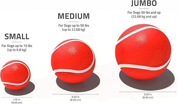 Playology Squeaky Dog Toy | Durable Rubber Interactive Dog Ball | Beef Scented Fetch Ball for Medium Dogs | Floating Dog Toy Made from Non Toxic Materials