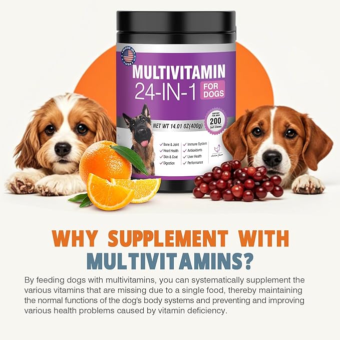 24-in-1 Dog Vitamins and Supplements 200 Ct Dogs Multivitamin Chewable Contain Chondroitin Probiotics Omega-3 Glucosamine for Dogs Skin Coat Heart Joint Gut Digestion Liver Brain Eyes Immune Support