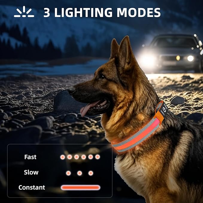 PetIsay LED Dog Collar Metal Buckle - Heavy Duty Light up Collars - Rechargeable IP68 Waterproof - Lighted Dog Collar for Night Walking, Hiking, Camping (Large, Orange)