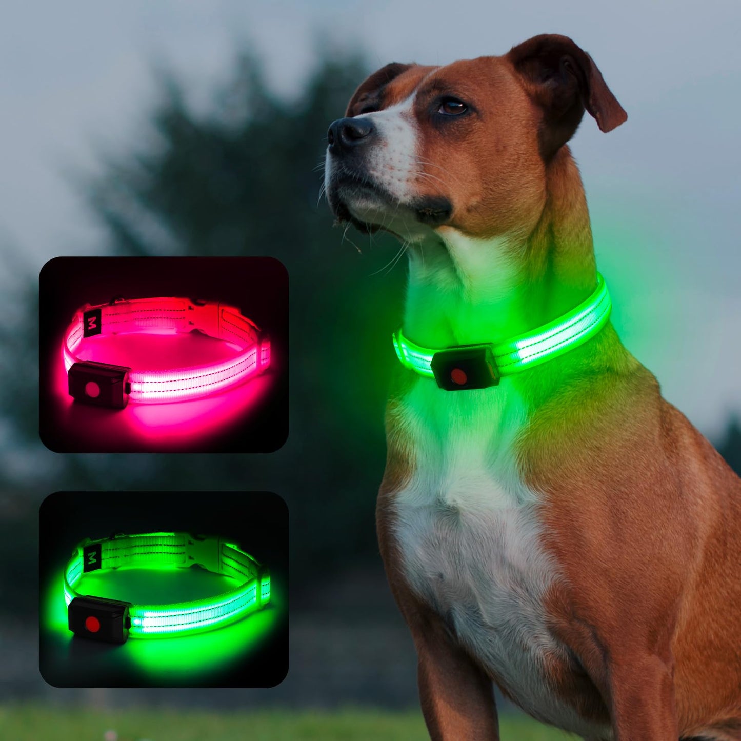 Light Up Dog Collar for Night Walking Flashing, LED Dog Collar Light Rechargeable Reflective Dog Collar Water-Resistant Adjustable Size Dog Collars for Medium Dogs