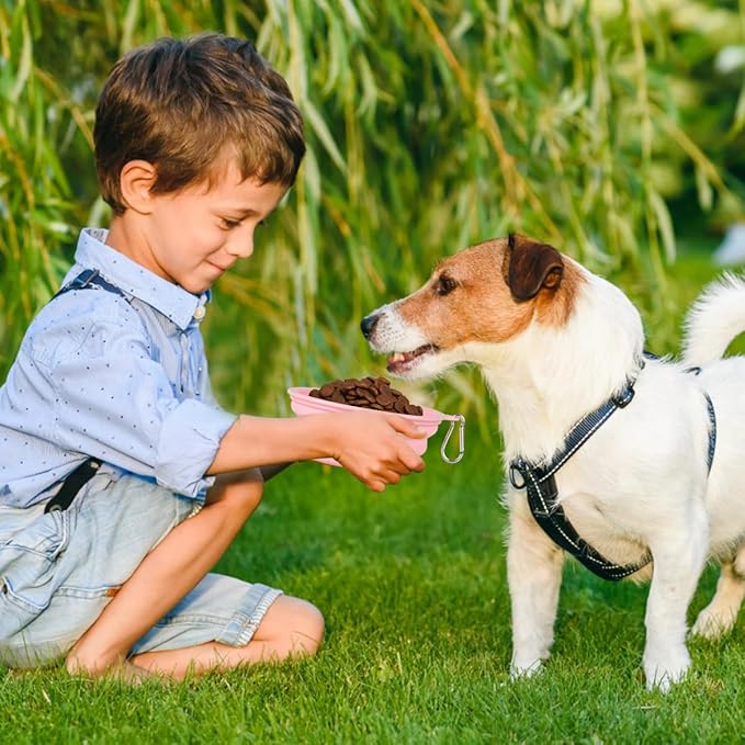 Kytely Collapsible Dog Bowls Medium (650ml), 2 Pack Travel Dog Bowls for Dog Cat, Portable Pet Water Food Bowl with Clasp, Pet Cat Feeding Cup Dish for Outdoor, Travel, Walking, Parking